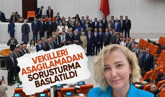 Vekillerin veda pozuna tepki gösteren Berna Laçin'e soruşturma başlatıldı