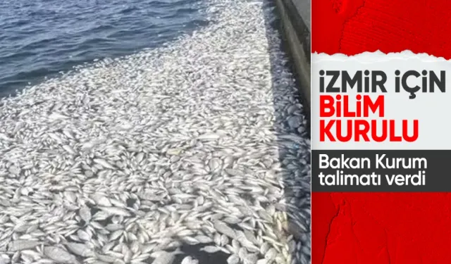 Bakan Kurum'dan İzmir Körfezi için bilim kurulu kararı