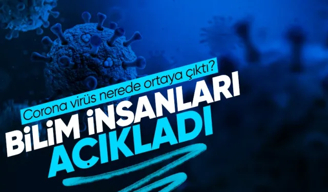 Bilim insanları açıkladı: Corona virüs nerede ortaya çıktı?