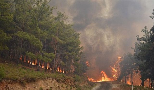 Orman Genel Müdürlüğü'nden İzmir'deki Yanan Alanın Orman Sınırları Dışına Çıkarıldığı İddialarına Yanıt