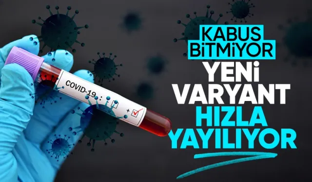 Yeni varyant dünyada hızla yayılıyor: Havaların soğuması ile baskın hale gelecek