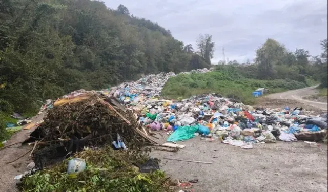 Çevre Kirliliğine Karşı Harekete Geçildi! 4 Belediyeye Rekor Ceza Geldi