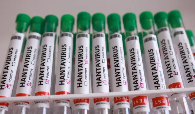 Fransa’dan hantavirüs açıklaması: Testi pozitif çıkan  yolcunun durumu kötüleşiyor