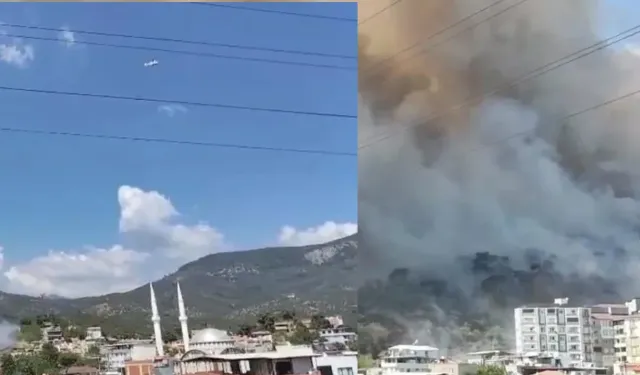 Balıkesir Edremit'te orman yangını: Poyrazın etkisiyle büyüyen yangın evlere doğru ilerliyor