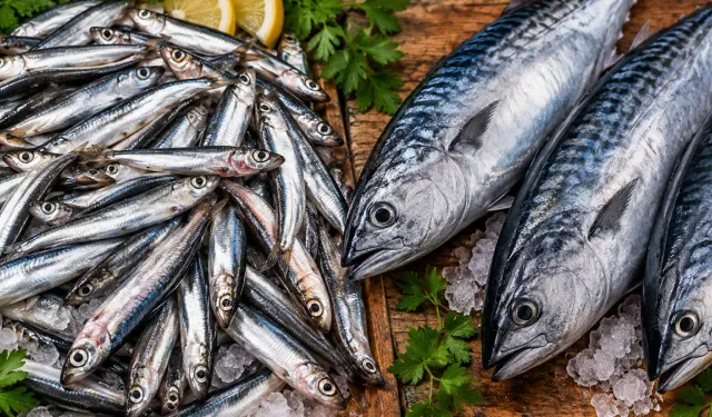 Hamsi mi palamut mu? 100 gramdaki fark şaşırttı, tam 5 kata ulaşıyor