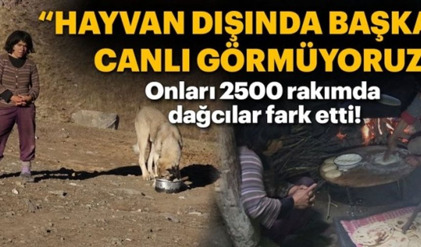 Dağ zirvesinde mağara gibi evde izole yaşam