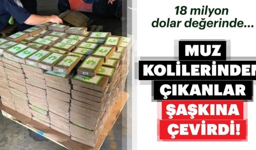 Muz kolilerinden çıkanlar şaşkına çevirdi!