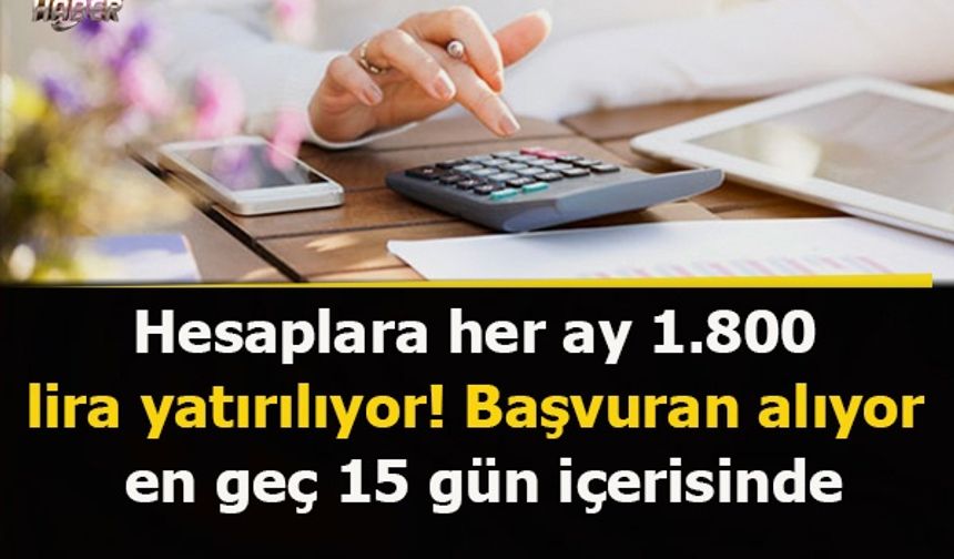 Hesaplara her ay 1.800 lira yatırılıyor! Başvuran alıyor, en geç 15 gün içerisinde...