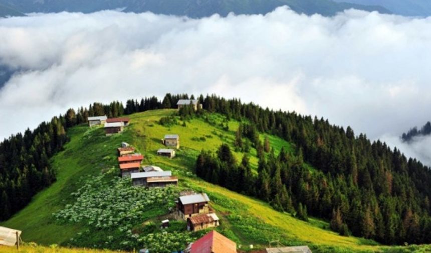 Pokut Yaylası'nın muhteşem doğası