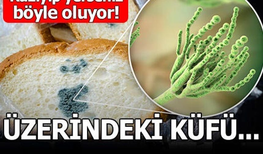 Yanlışlıkla küf yersek ne olur? - Küfü attıktan sonra yiyebilir miyiz?