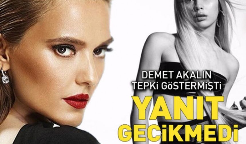 Demet Akalın tepki göstermişti! Aleyna Tilki'den yanıt gecikmedi