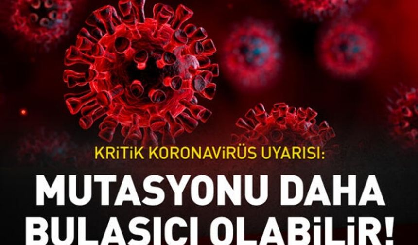 Kritik uyarı: "Virüsün ‘D614G’ adı verilen mutasyonu orijinalinden daha bulaşıcı olabilir"