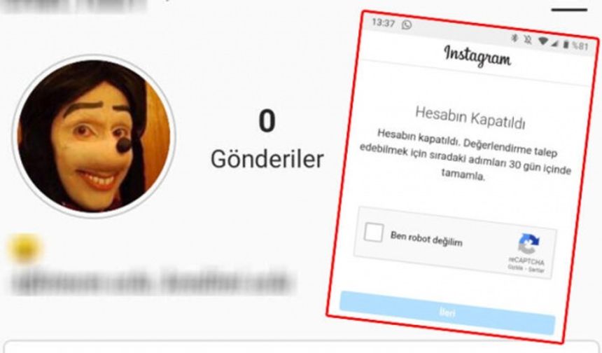 Bu fotoğrafı profiline koyanın hesabı kapanıyor! İşte nedeni...