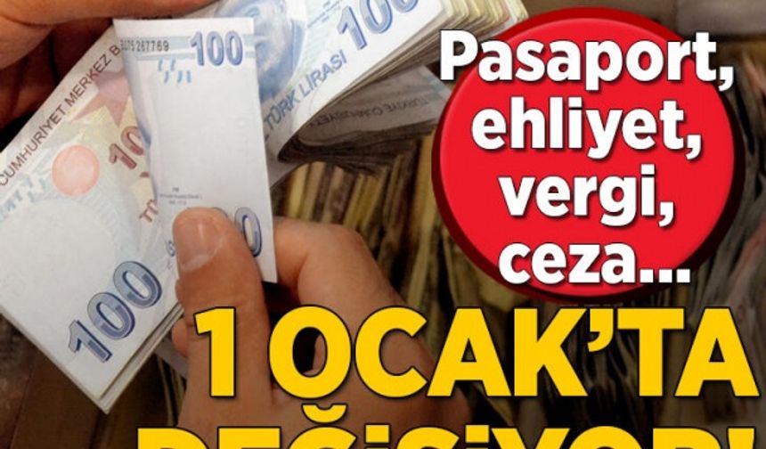 Pasaport,ehliyet,vergi,ceza...1 Ocak'ta Değişiyor!