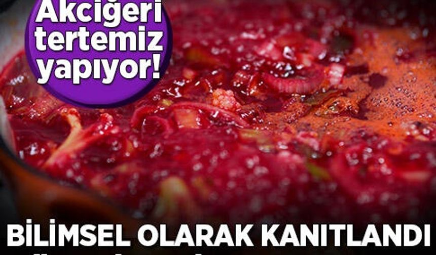 Akciğeri güçlendiren 10 besin!