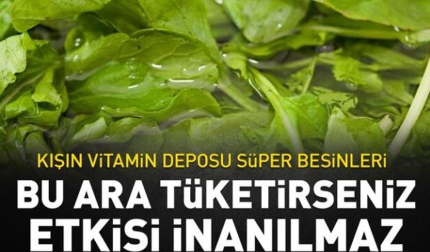 Kışın vitamin deposu mucize besinleri! Bu ara tüketirseniz etkisi inanılmaz