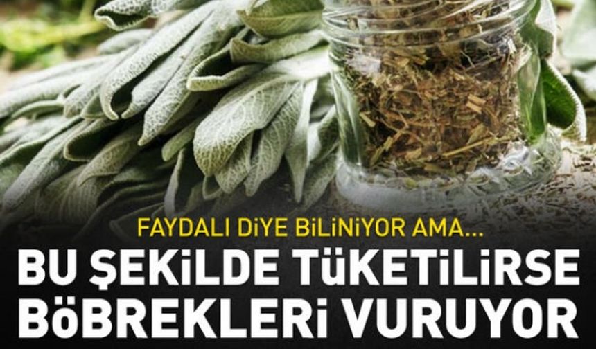 Faydalı diye biliniyor ama... Fazla tüketildiğinde böbrekleri vuruyor