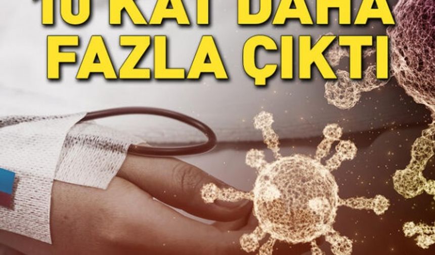 Kritik Covid-19 raporu! Ölüm oranı 10 kat daha fazla çıktı..