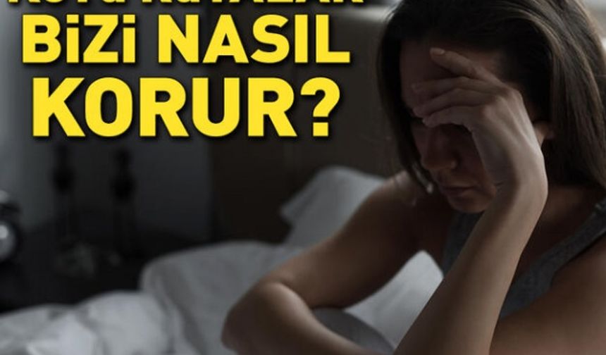 Kötü rüyalar, bizi nasıl korur? Kabuslardan neden korkmamalıyız?