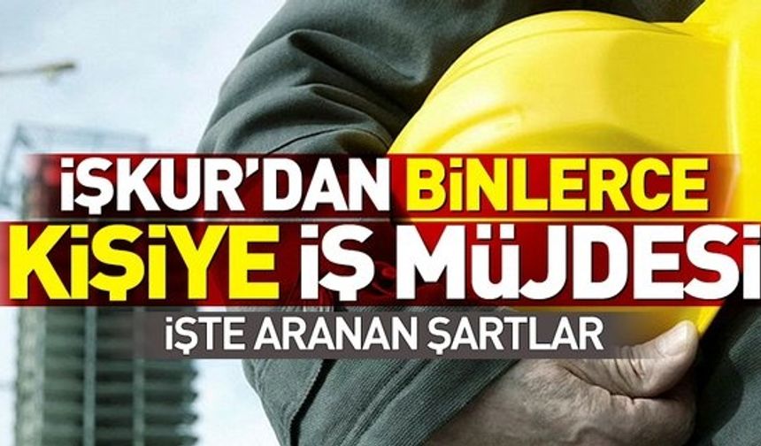 İŞKUR'dan 4465 kişiye iş müjdesi! İŞKUR'da büro memuru, şoför ve güvenlik görevlisi alımına nasıl başvurulur? .