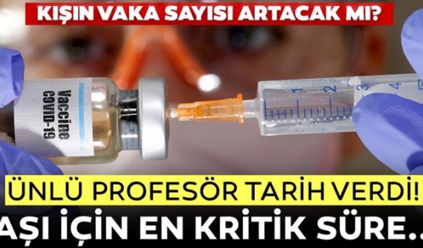 Türk profesörden corona virüs aşısı açıklaması! Kısa süre içinde corona açısı...