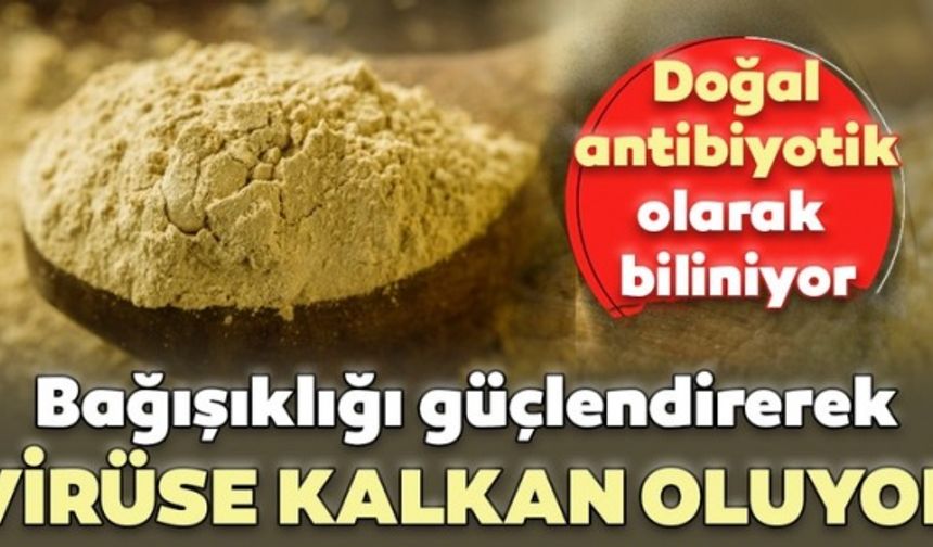 Bağışıklığı güçlendiriyor! Koronavirüse kalkan oluyor...