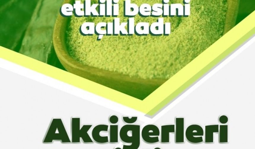 Akciğerleri temizleyen süper gıda! Güçlü bir akciğer için mutlaka tüketin...