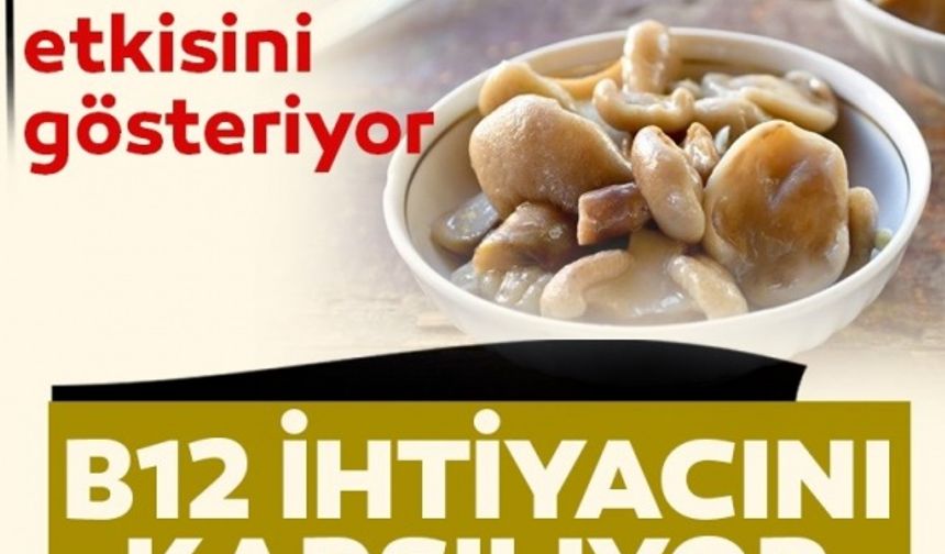 B12 vitamin eksikliği olanlar hangi besini tüketmeli? İşte B12 vitamin deposu süper besin...