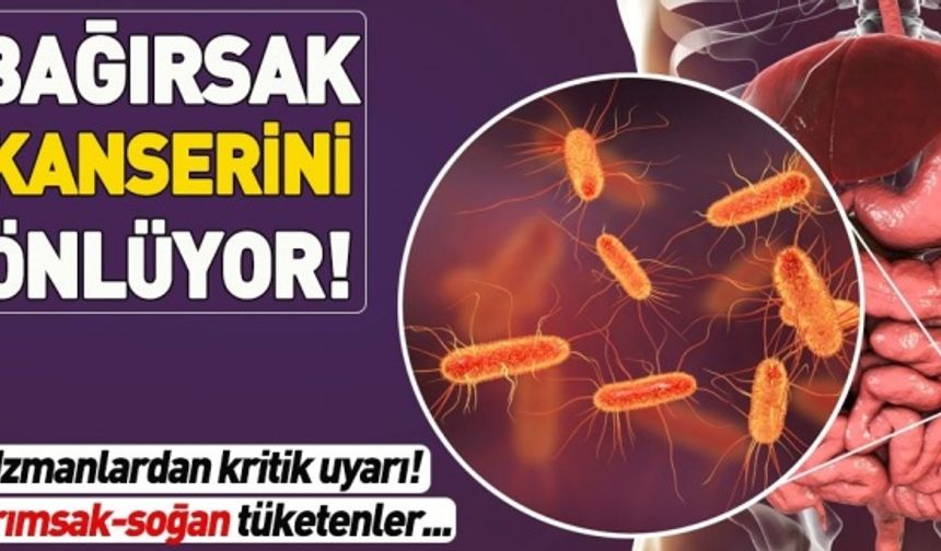 Bağırsak kanseri olanların sayısı giderek artıyor! Bu besinler bağırsak kanserini önlüyor...