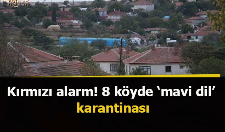 Kırmızı alarm! 8 köyde 'mavi dil' karantinası