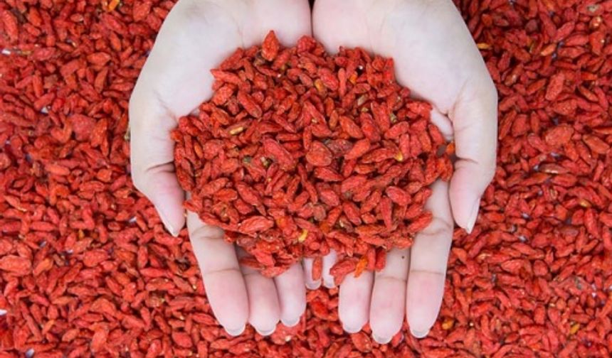 Goji berry’nin olağanüstü faydaları