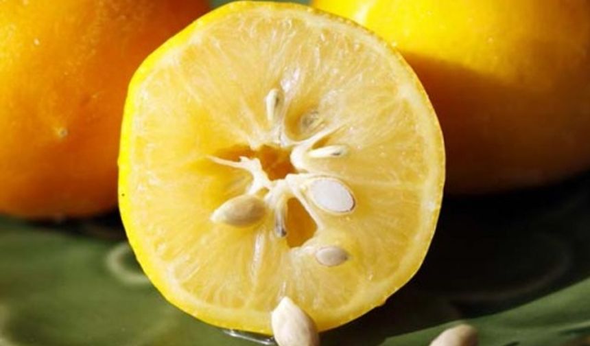 Limonun inanılmaz faydaları