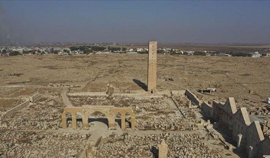 Harran Üniversitesi 406 sözleşmeli personel alacak