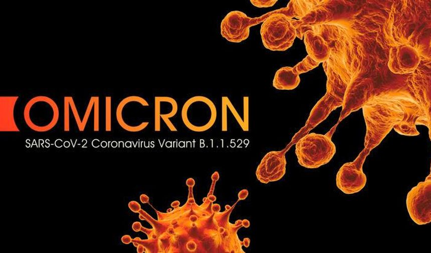 Koronavirüs test sonucu kaç saatte, günde çıkar? Omicron test sonucunda görünüyor mu? PCR test detayları