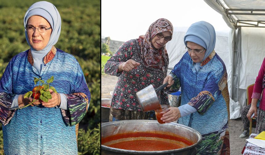 Emine Erdoğan kışlık menemen yapımı için tarlaya indi domates topladı