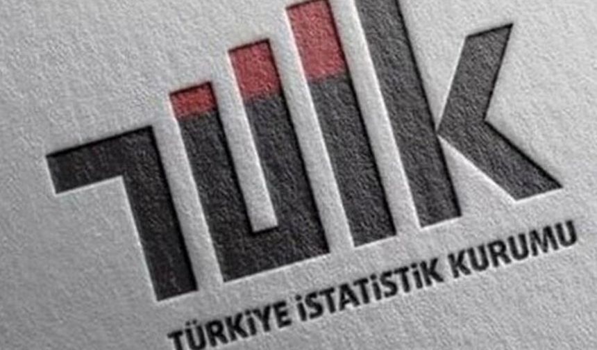 TÜİK Dış Ticaret İstatistikleri'ni yayımladı!