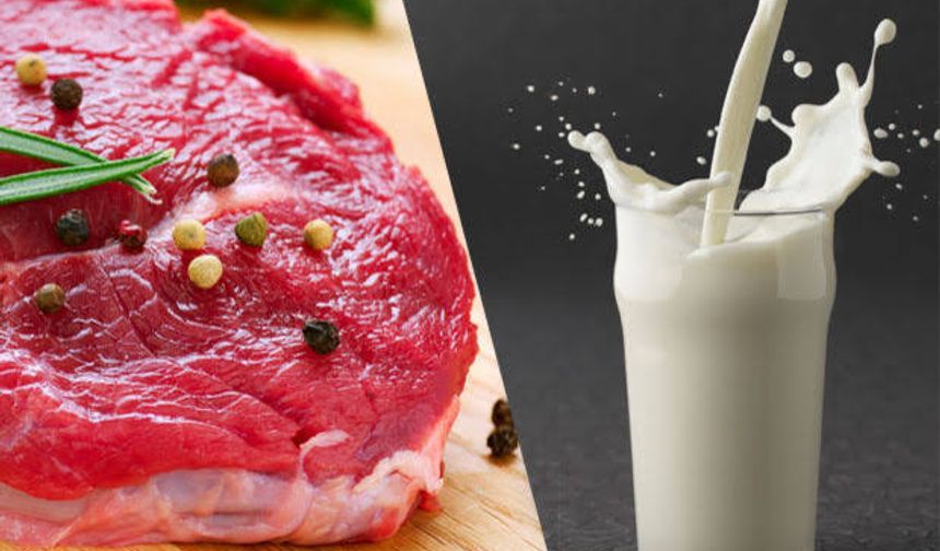 Et ve Süt Sektörü Alarm Veriyor! İhracat Kısıtlamaları Üretimi Tehlikeye Atabilir