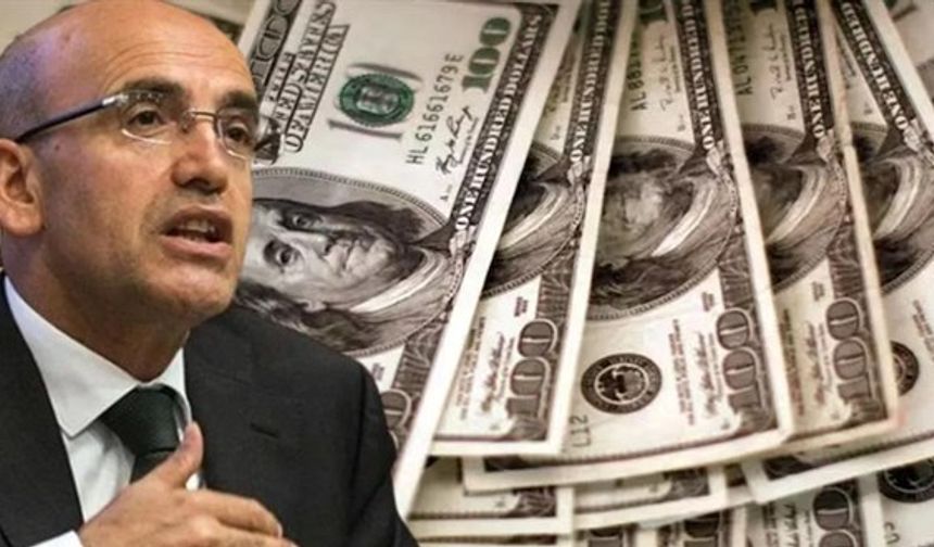 Türk Yatırım Fonu Kuruluyor! Kayıtlı Sermaye 500 Milyon Dolar
