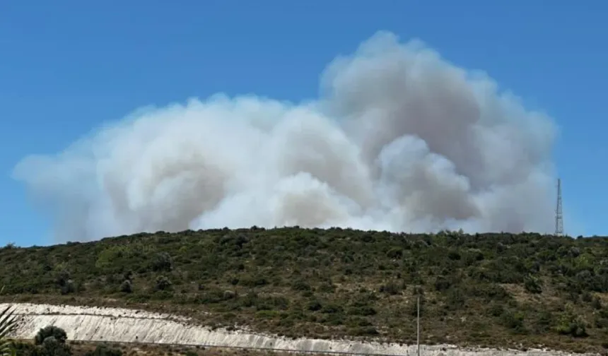 Çeşme'de Orman Yangını Faciası: 3 Kişi Hayatını Kaybetti