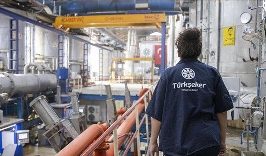 Türkiye Şeker Fabrikaları İşçi Alacak! İşte Başvuru Şartları