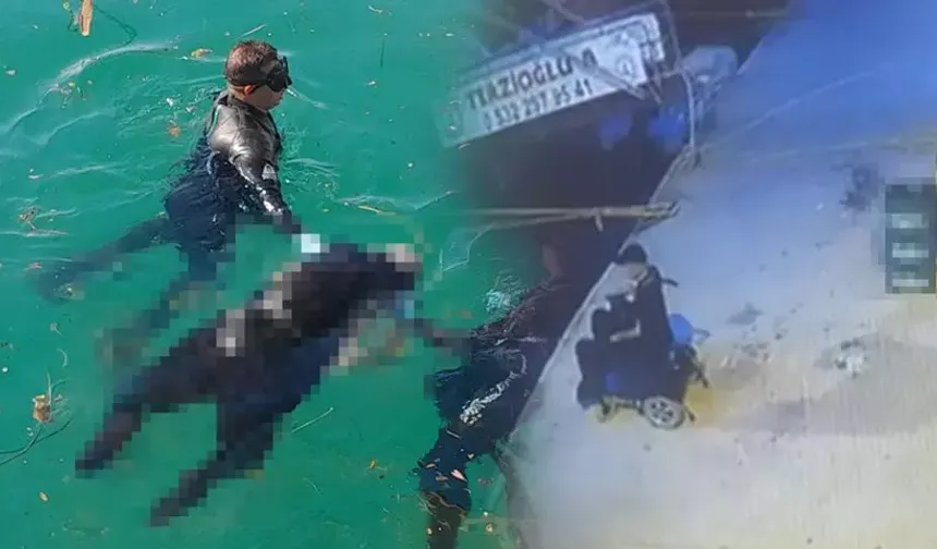 Muğla'da yürek burkan olay... Akülü sandalyesiyle iskeleye geldi, denize atlayarak yaşamına son verdi