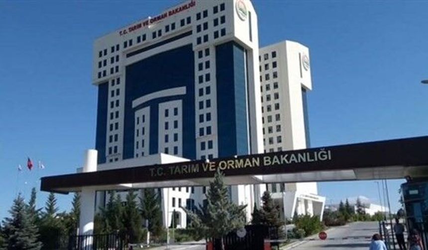 Tarım ve Orman Bakanlığından Sözleşmeli Personel Alımı İlanı
