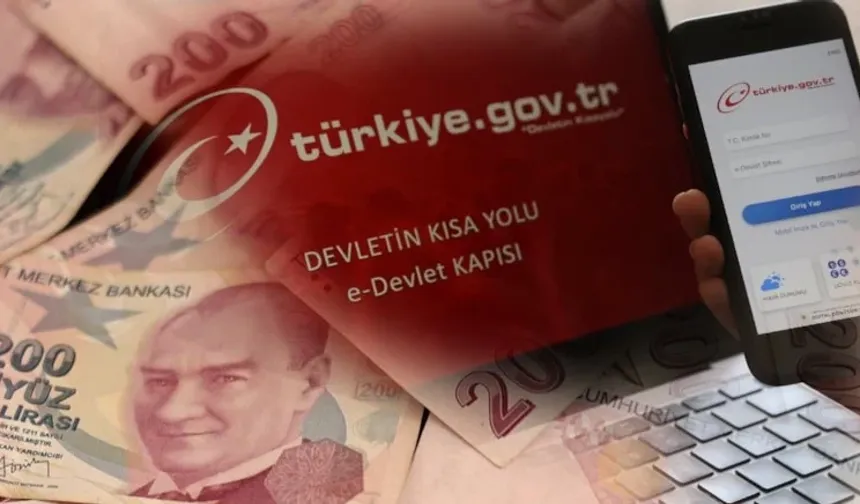 Tüm Hesaplar Tek Sekmede! e-Devlet'te Ödemeler ile İlgili Yeni Hizmet...