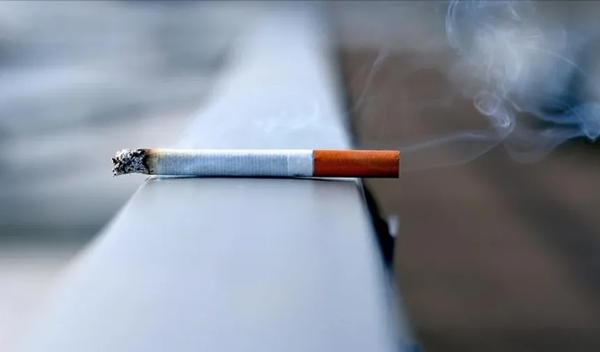 Tütünün Sonu Geliyor Olabilir! Sigara ve Diğer Tütün Ürünleri Satışı 2040'ta Sonlanması Gündemde