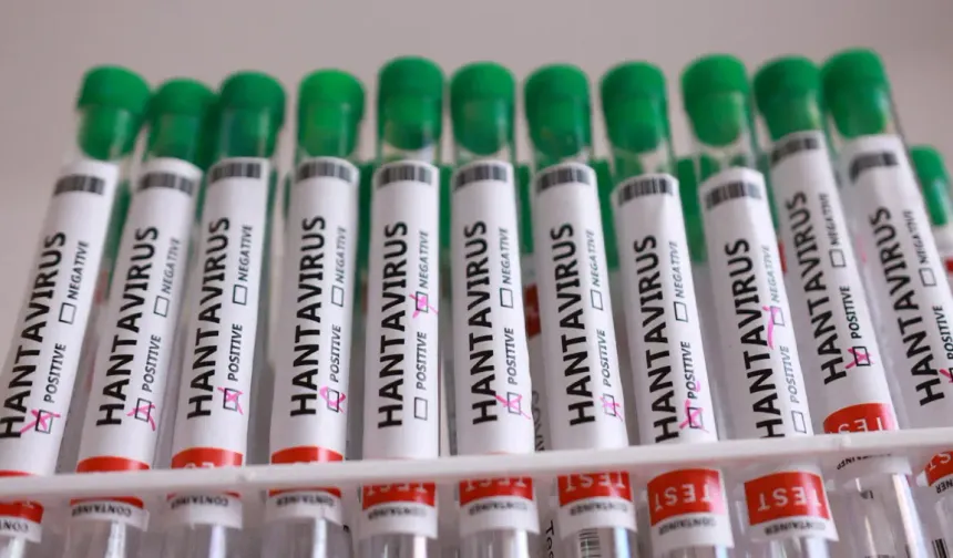 Fransa’dan hantavirüs açıklaması: Testi pozitif çıkan  yolcunun durumu kötüleşiyor