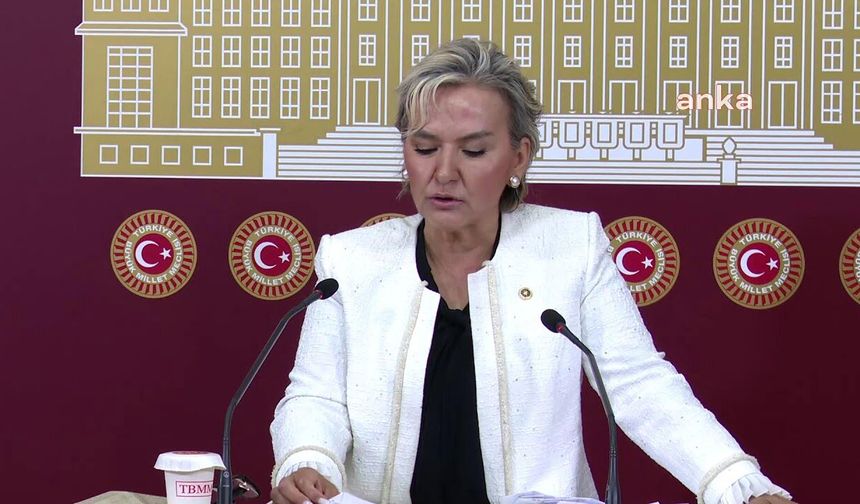 CHP’de istifa: İstanbul Milletvekili Nimet Özdemir partiden ayrıldı