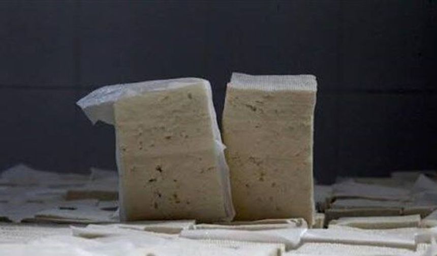 Listeria tespit edilen peynir partisi raflardan çekiliyor