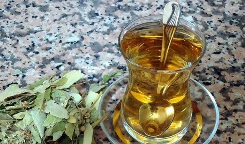 Tıbbi Bitki Çaylarında Yeni Dönem: Sadece Eczanelerde Satılacak