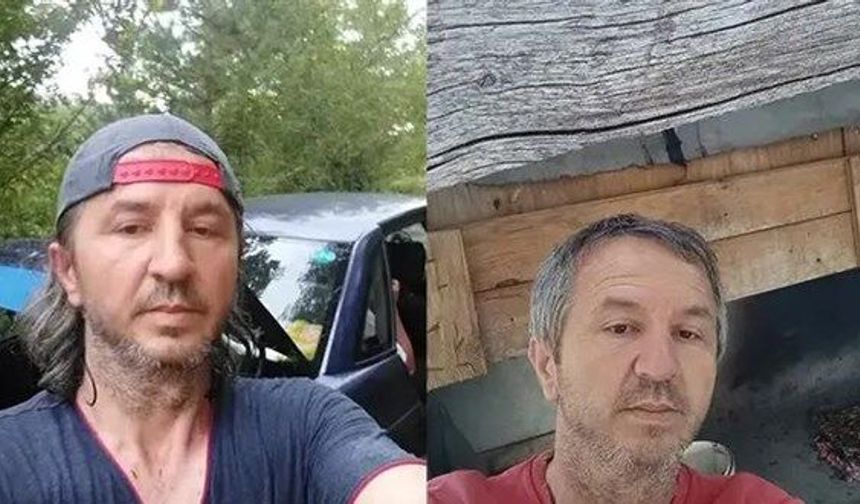 Domuz sandı, kuzenini vurdu