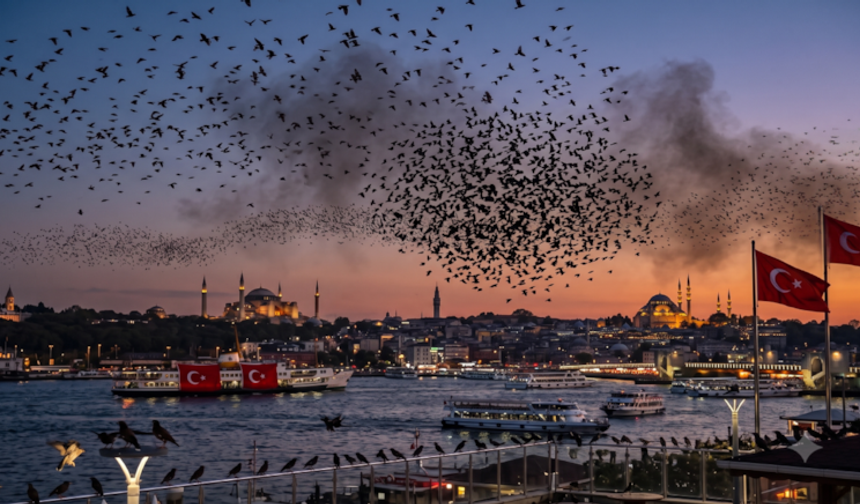 Pakistan‘dan gelip İstanbul’u istila ettiler! Sayıları her geçen gün artıyor